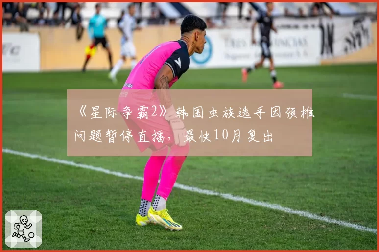 《星际争霸2》韩国虫族选手因颈椎问题暂停直播，最快10月复出