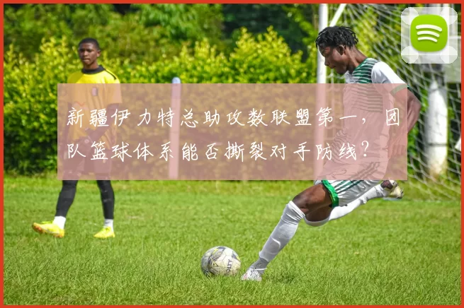 新疆伊力特总助攻数联盟第一,团队篮球体系能否撕裂对手防线?