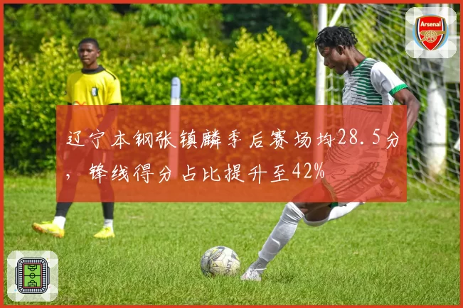 辽宁本钢张镇麟季后赛场均28.5分，锋线得分占比提升至42%